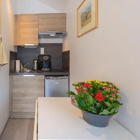 Jardin Fleuri - Proche Foix Apartament Saint-Paul-de-Jarrat